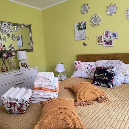 Sweet Butterflies Residence Brasov Ngoại thất bức ảnh