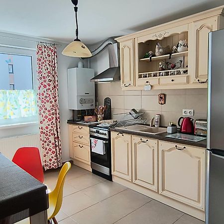 Sweet Butterflies Residence Brasov Ngoại thất bức ảnh