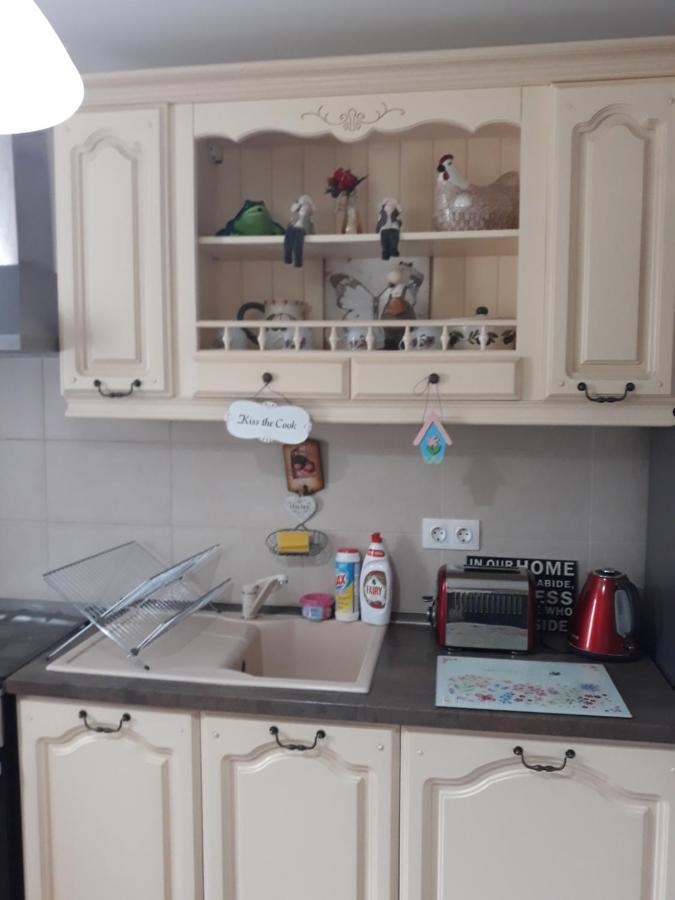 Sweet Butterflies Residence Brasov Ngoại thất bức ảnh
