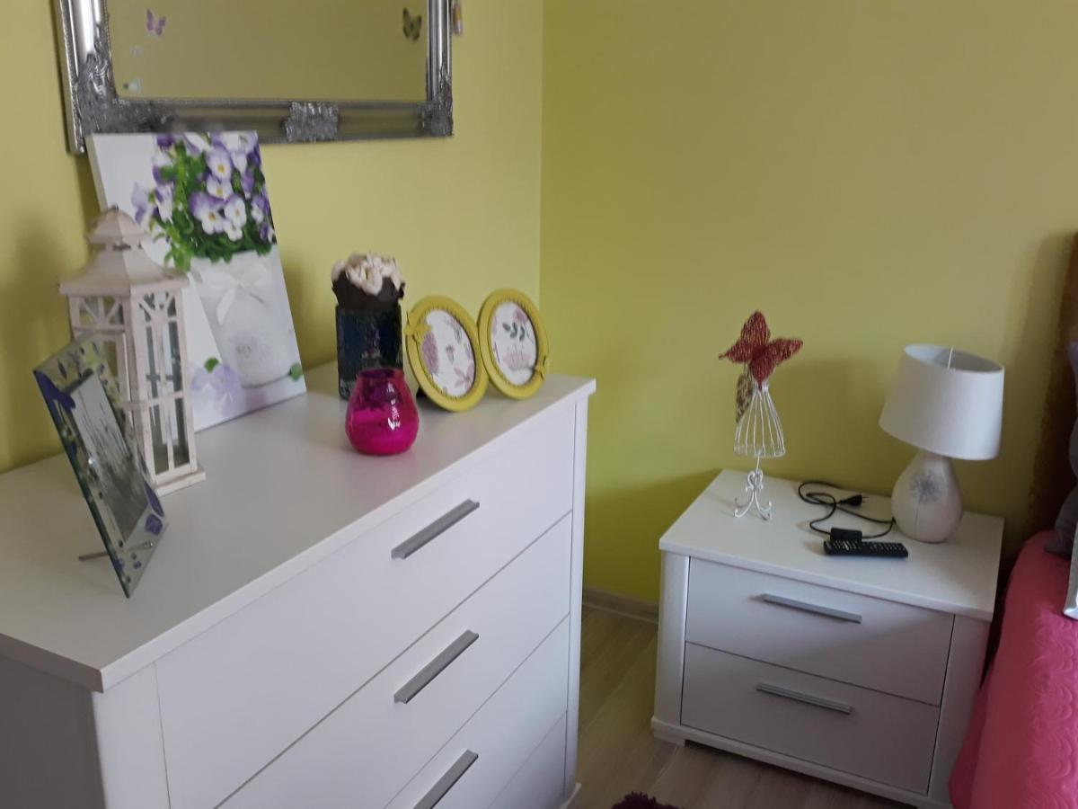 Sweet Butterflies Residence Brasov Ngoại thất bức ảnh