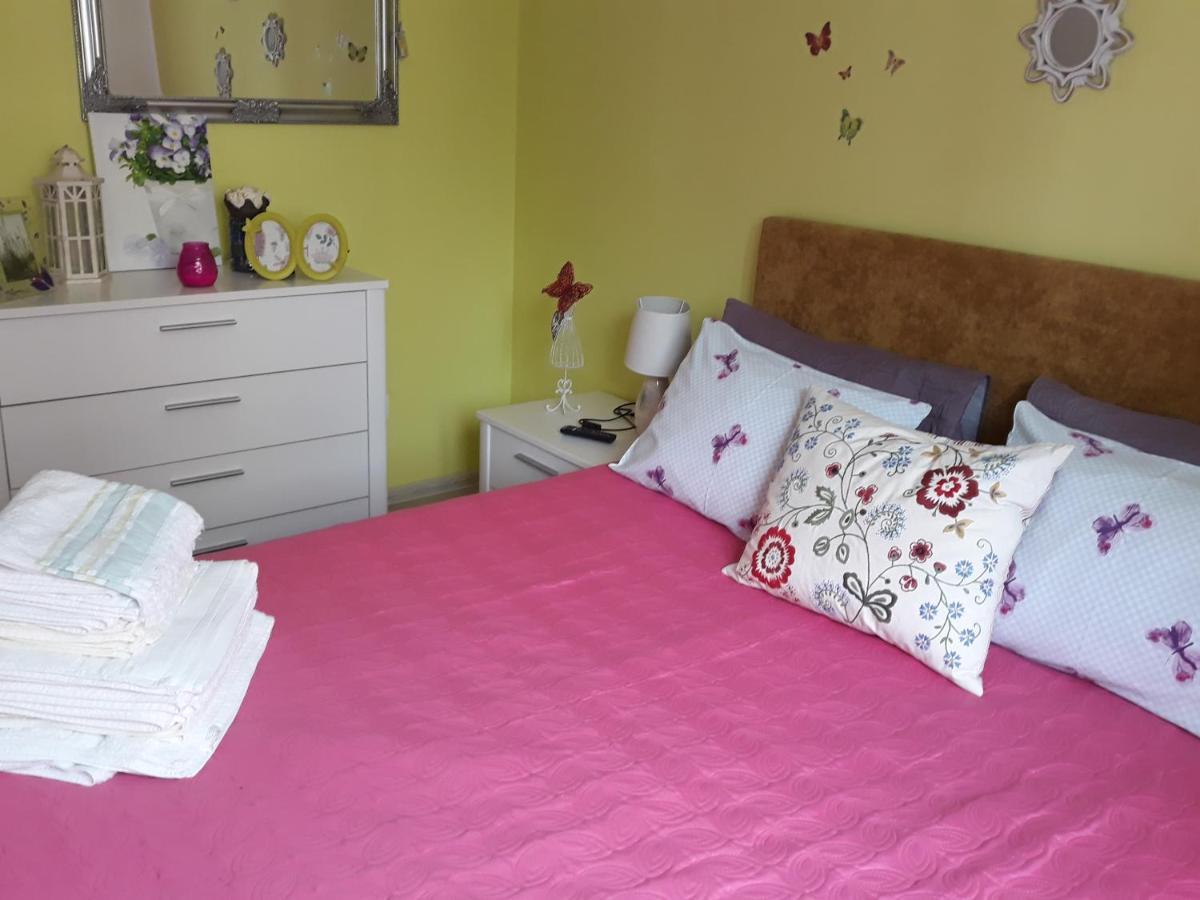 Sweet Butterflies Residence Brasov Ngoại thất bức ảnh
