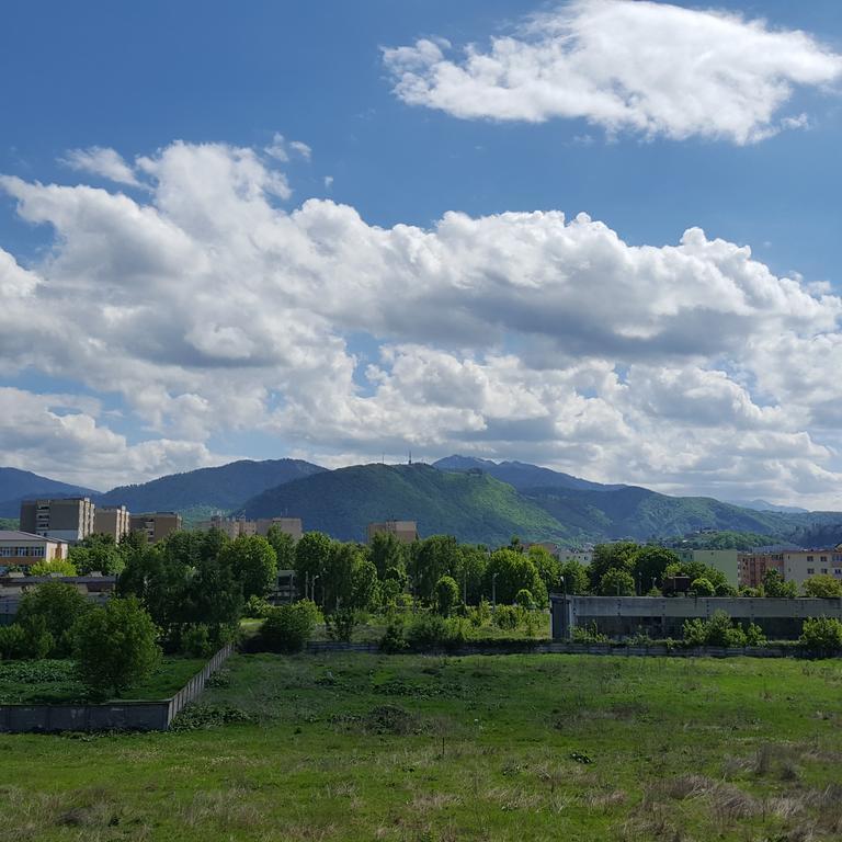 Sweet Butterflies Residence Brasov Ngoại thất bức ảnh