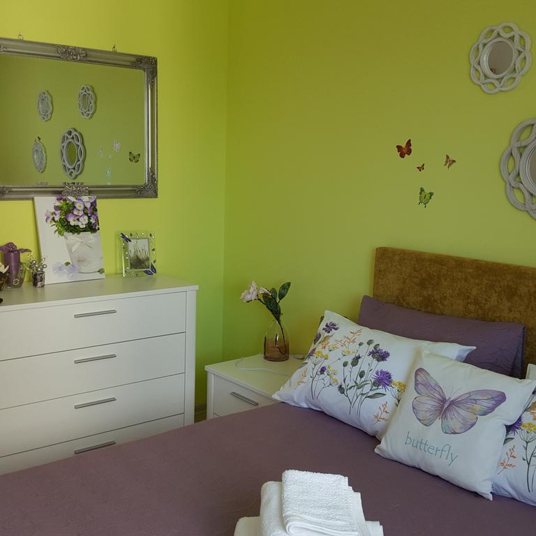 Sweet Butterflies Residence Brasov Ngoại thất bức ảnh