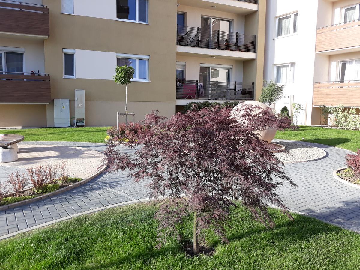 Sweet Butterflies Residence Brasov Ngoại thất bức ảnh