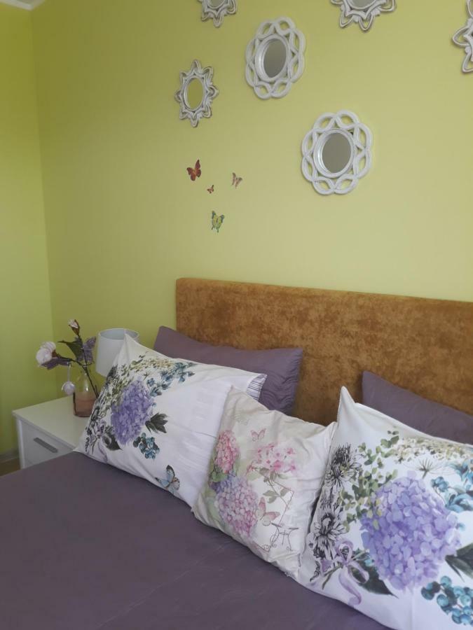 Sweet Butterflies Residence Brasov Ngoại thất bức ảnh
